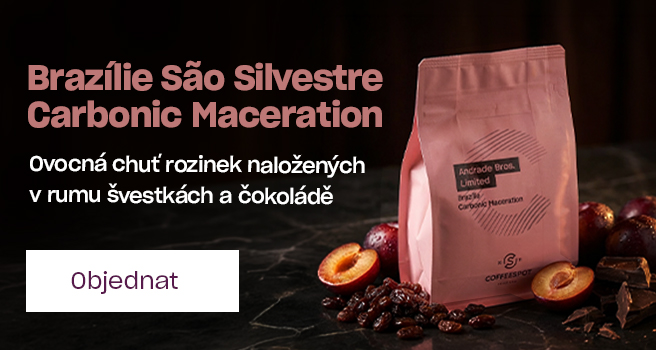 Hlavní pravý - Vánoce